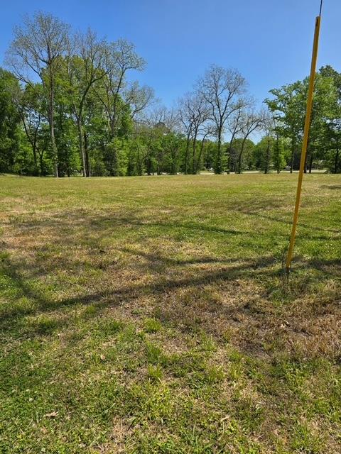 1179 Old Jackson Road Property Photo 1