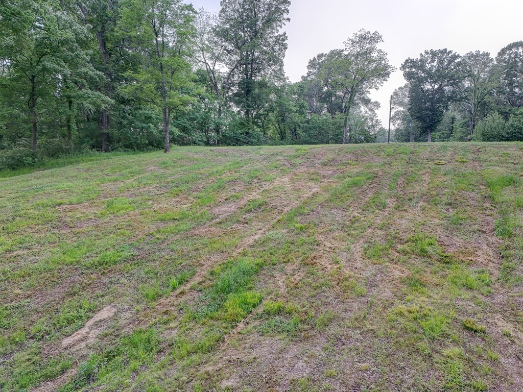 1179 Old Jackson Road Property Photo 2
