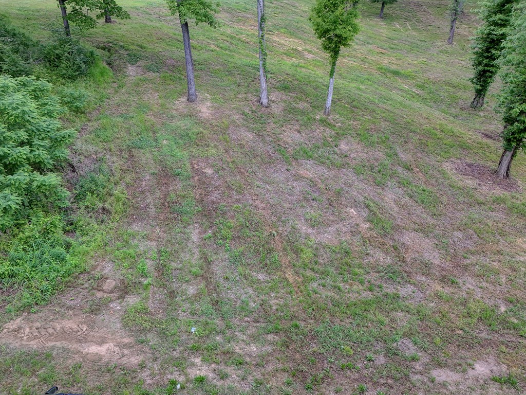 1179 Old Jackson Road Property Photo 3