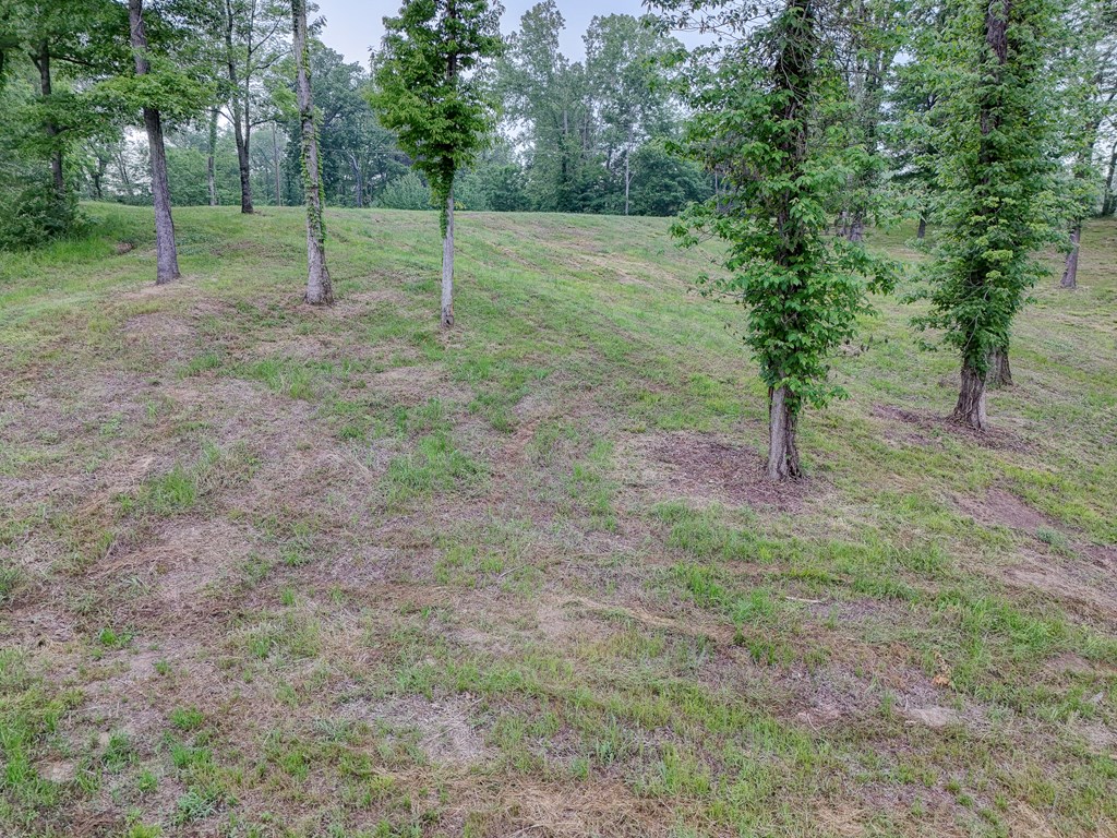 1179 Old Jackson Road Property Photo 4