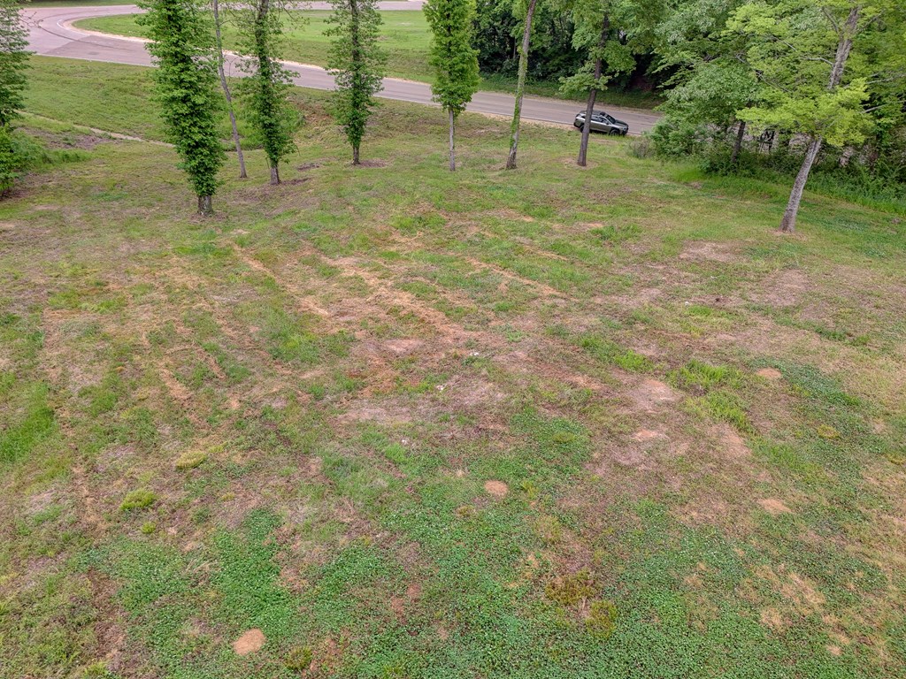 1179 Old Jackson Road Property Photo 8