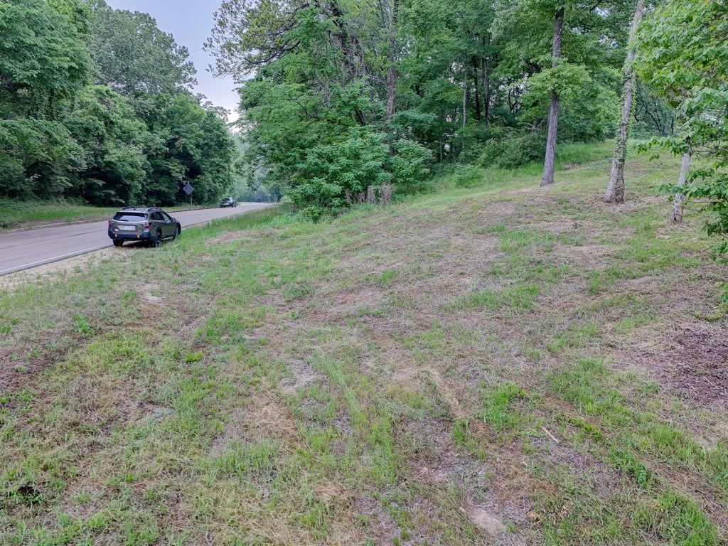 1179 Old Jackson Road Property Photo 10