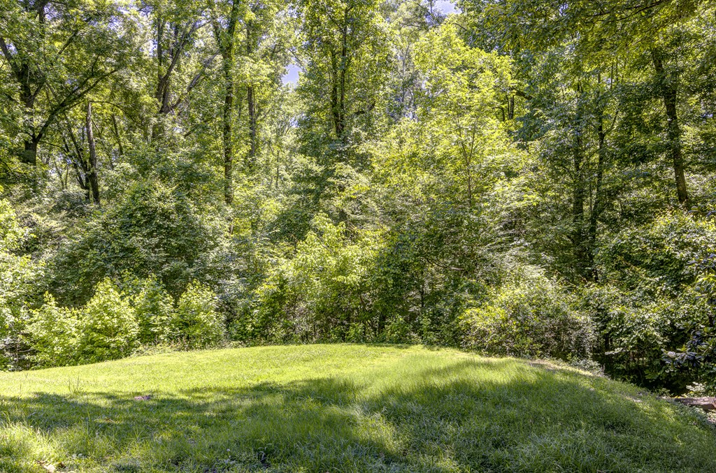 110 King Arthur's Ridge Property Photo 42