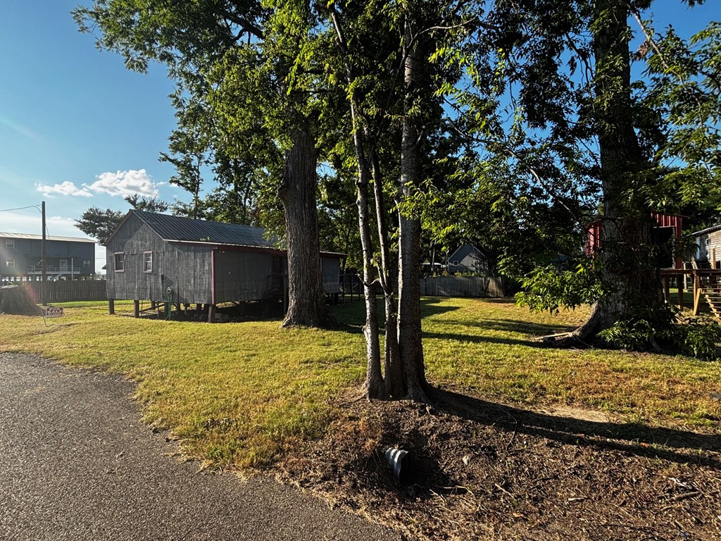 116 Catfish Alley Property Photo 4