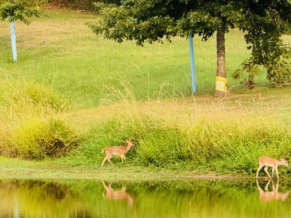 1832 Paul Barrett Drive Property Photo 4