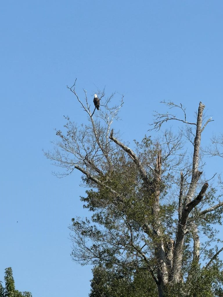 1832 Paul Barrett Drive Property Photo 5