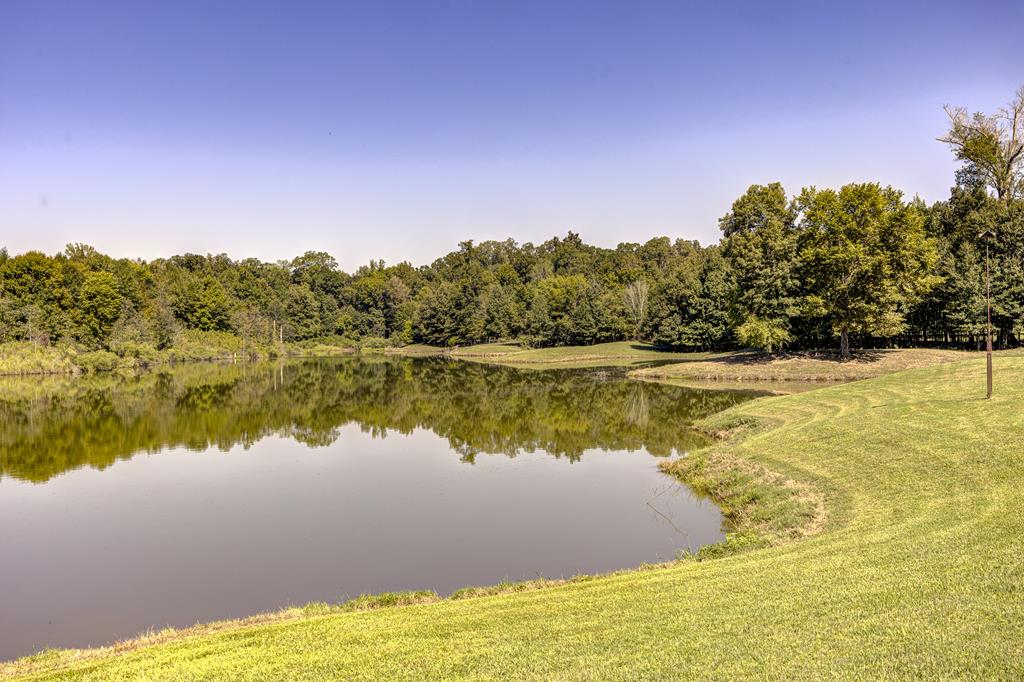 1832 Paul Barrett Drive Property Photo 47