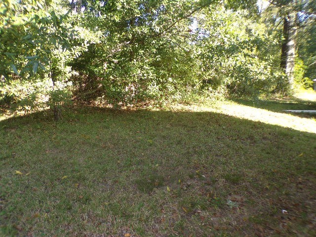 41 Faulk St Property Photo 2