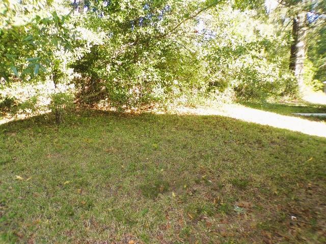 41 Faulk St Property Photo 11