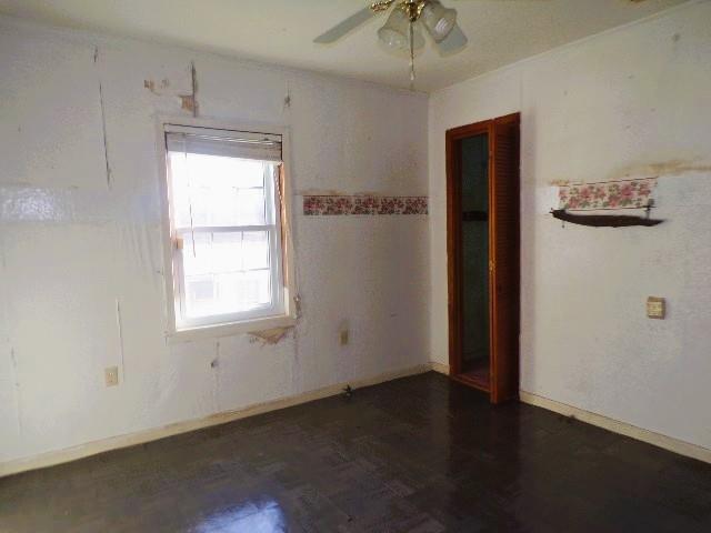 41 Faulk St Property Photo 13