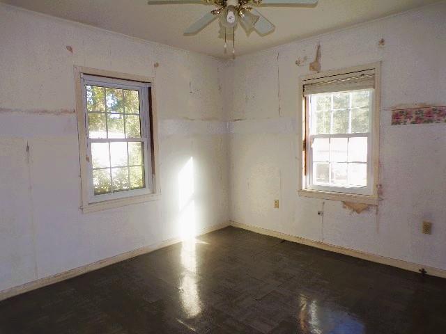 41 Faulk St Property Photo 14