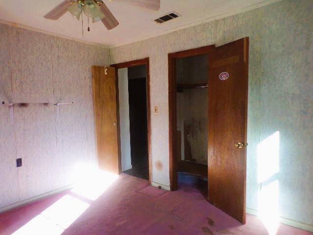 41 Faulk St Property Photo 15