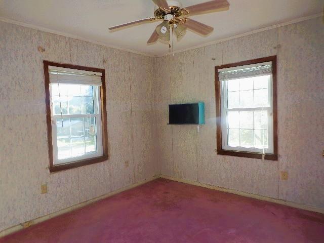 41 Faulk St Property Photo 16