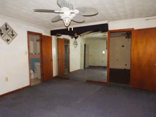 41 Faulk St Property Photo 17