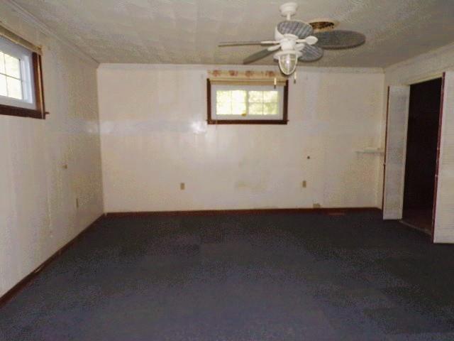 41 Faulk St Property Photo 18