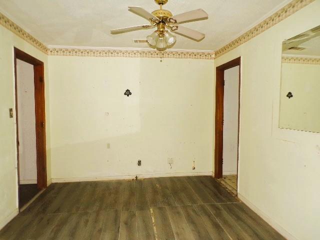 41 Faulk St Property Photo 22