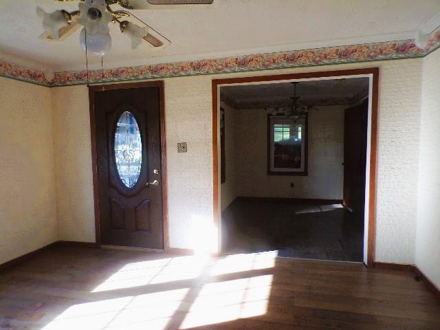 41 Faulk St Property Photo 26