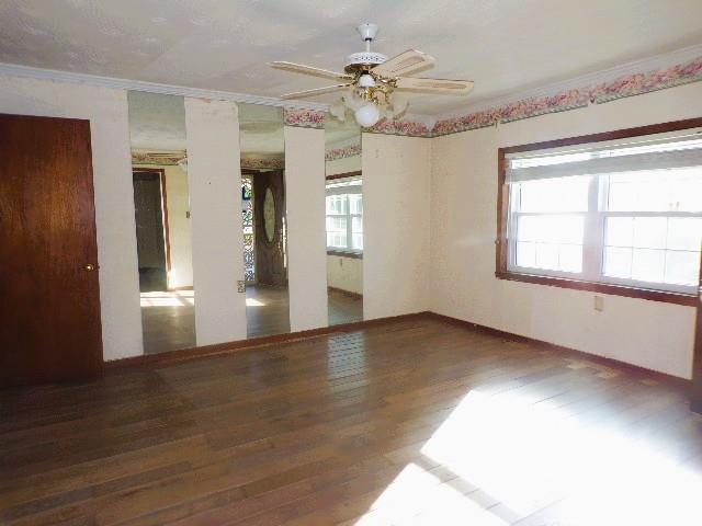 41 Faulk St Property Photo 27