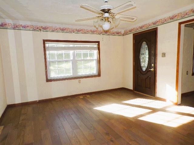 41 Faulk St Property Photo 28