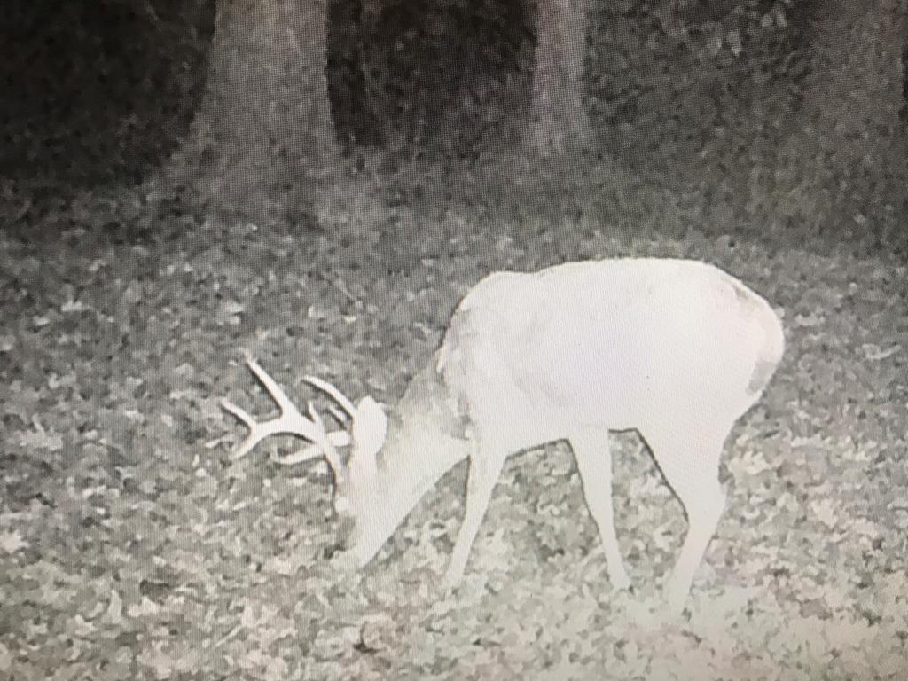 10269 Hwy 61 South Property Photo 46