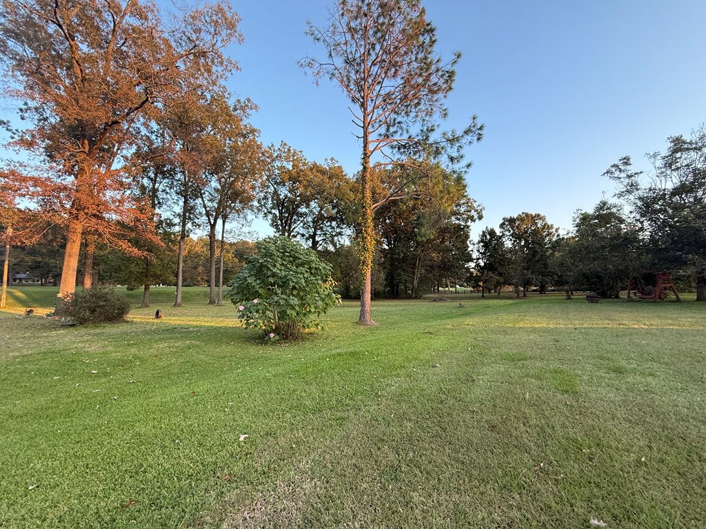 10269 Hwy 61 South Property Photo 47