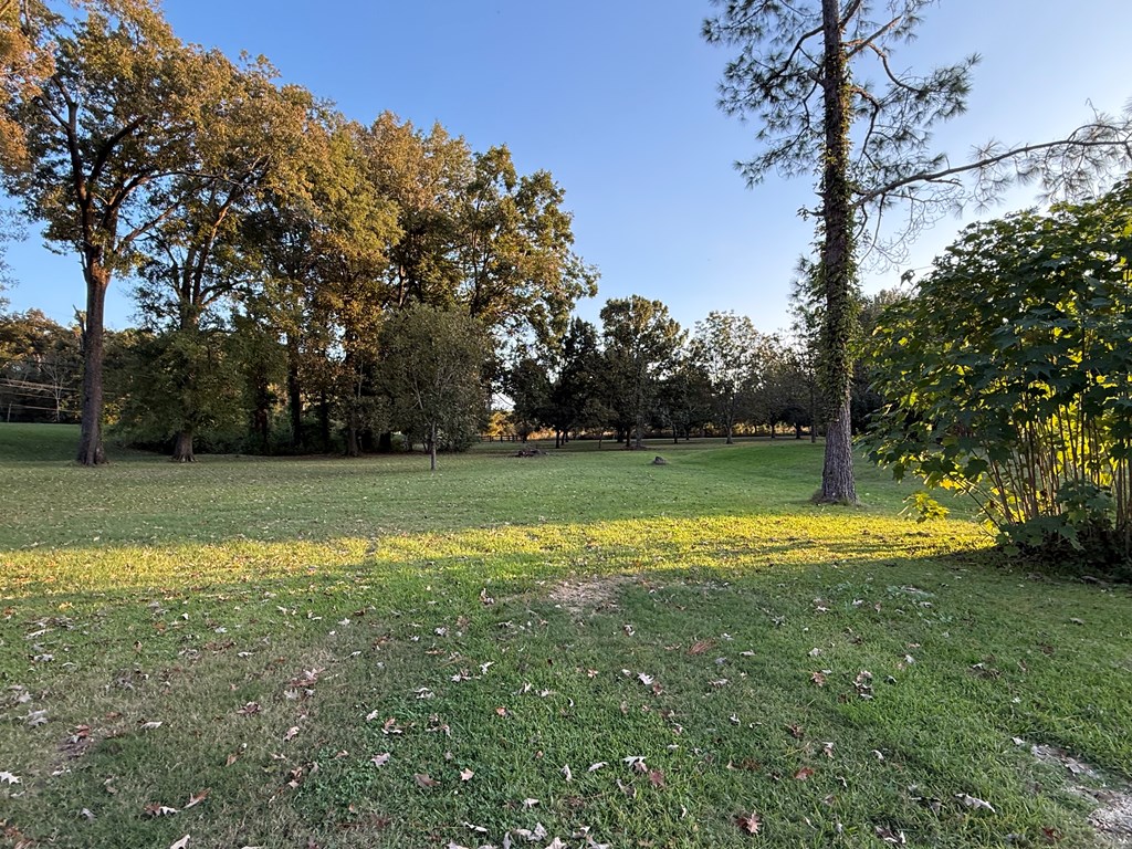 10269 Hwy 61 South Property Photo 48