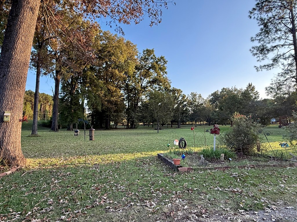 10269 Hwy 61 South Property Photo 49