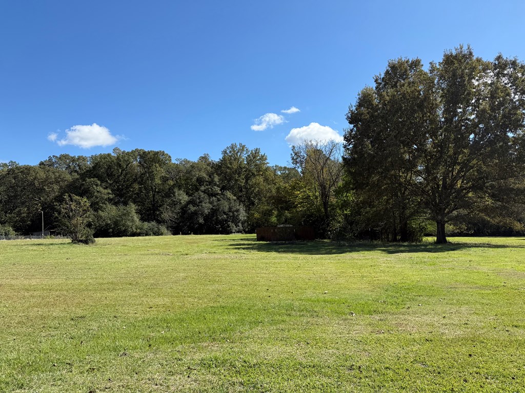 421 Allen Place Property Photo 8