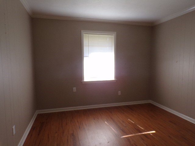 4 Alexander Rd Property Photo 8