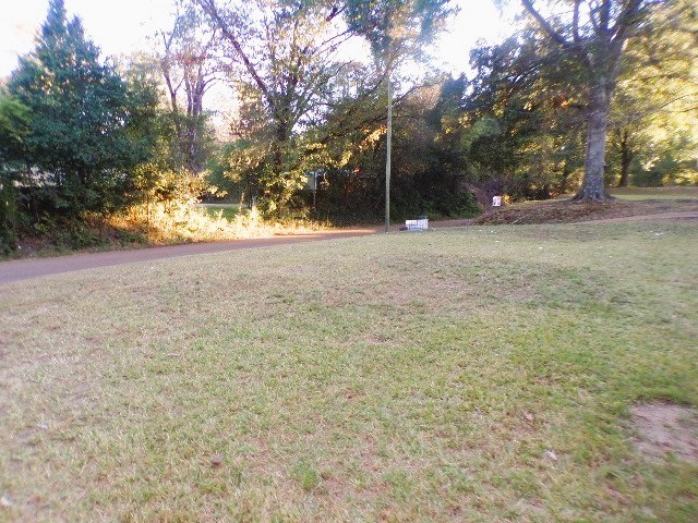 4 Alexander Rd Property Photo 24