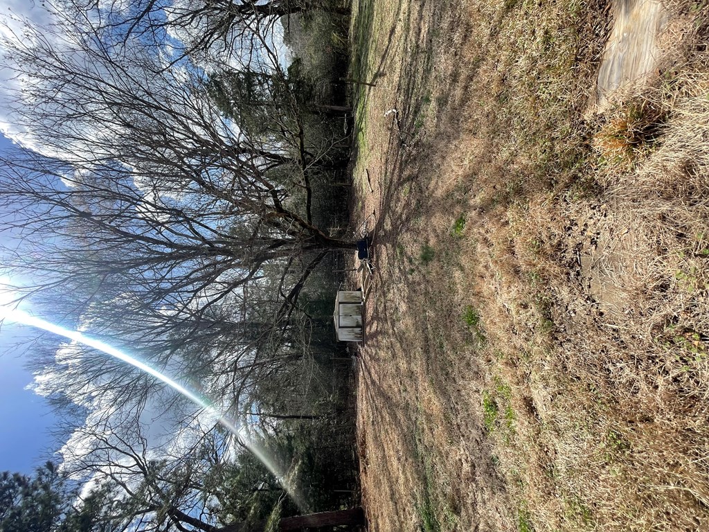 1273 Jonas Flaggs Rd Property Photo 7