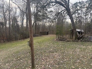 4113 Old Colony Road Property Photo 35