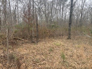 4113 Old Colony Road Property Photo 36