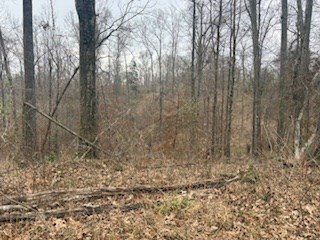 4113 Old Colony Road Property Photo 38