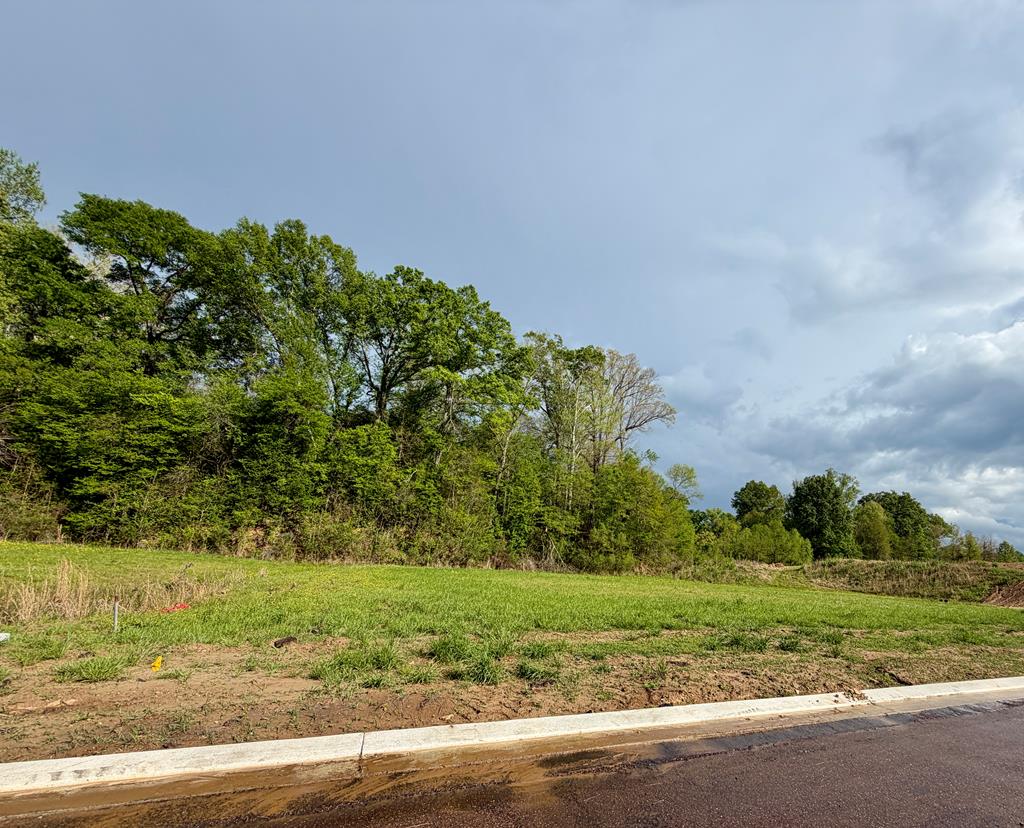 00 Plainview Dr Lot 4 Property Photo 1