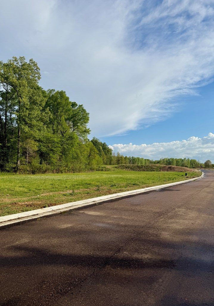 00 Plainview Dr Lot 4 Property Photo 2