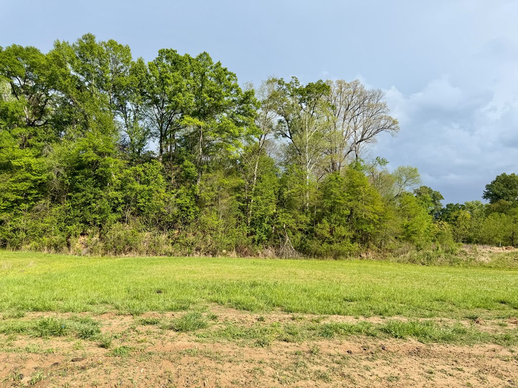 00 Plainview Dr Lot 4 Property Photo 3