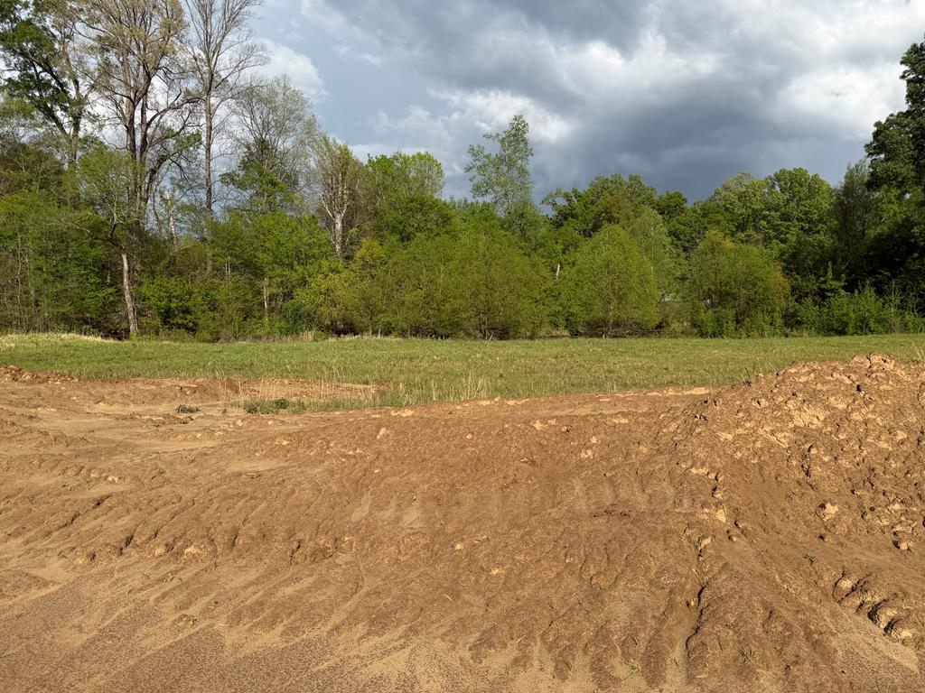 00 Plainview Dr Lot 6 Property Photo 1