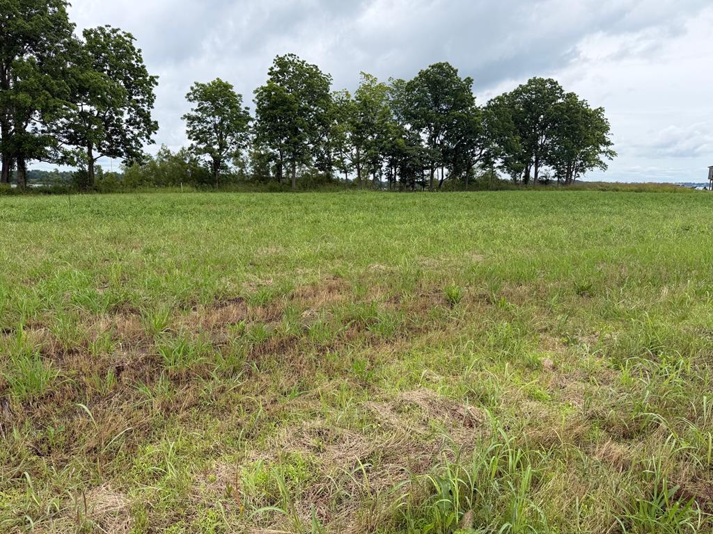 Lot 5 Eagle Lake Shore Rd Property Photo 1