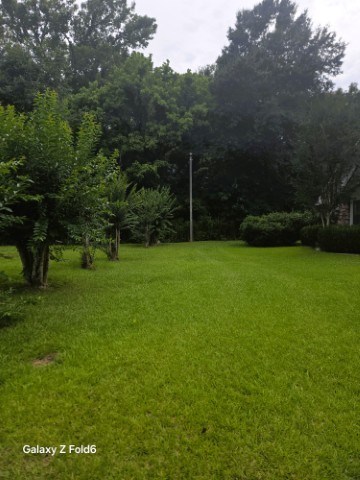 1051 Briarwood Dr Property Photo 13
