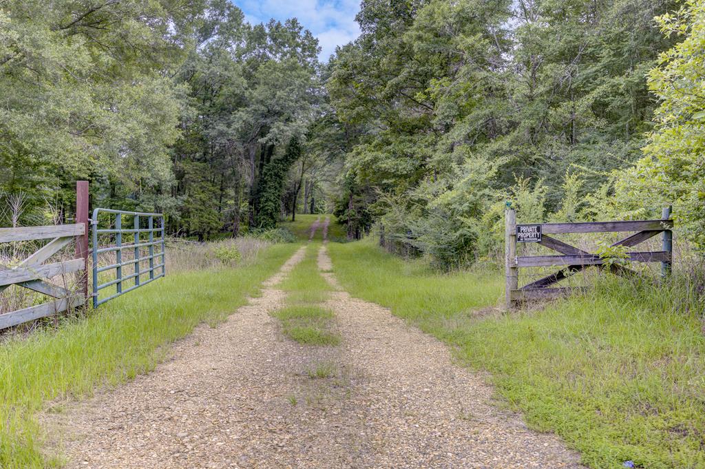 28137 Highway 18 Property Photo 1