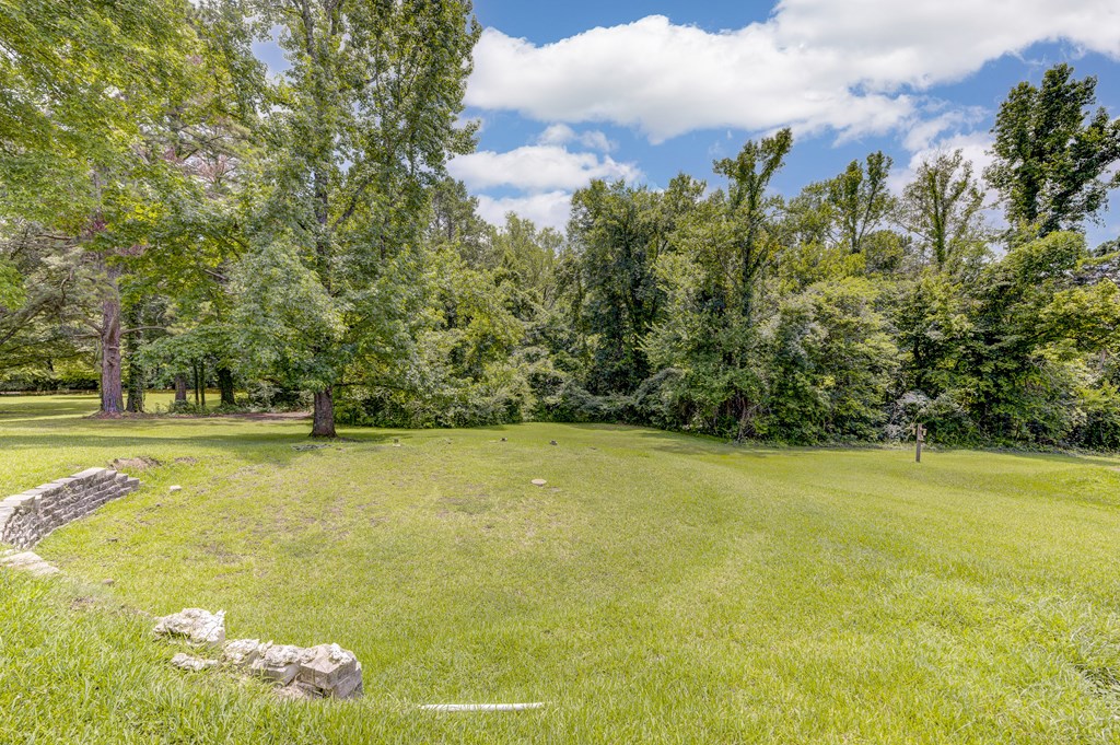 4 Biedenharn Dr Property Photo 29
