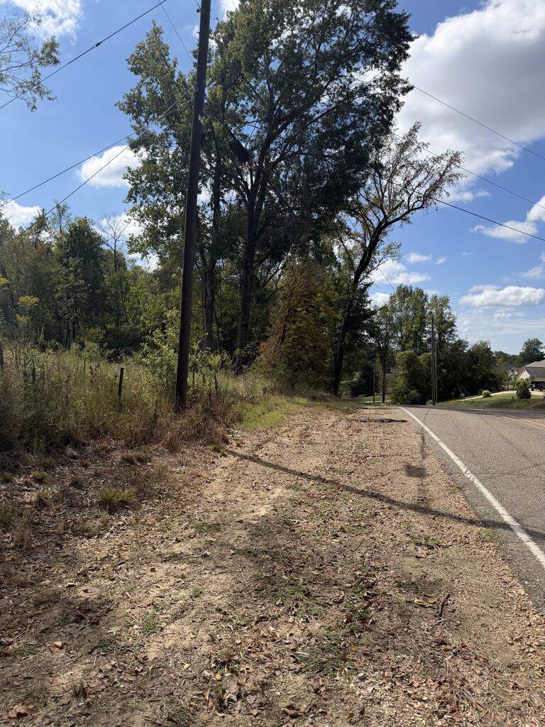 000 Blossom Lane Property Photo 1