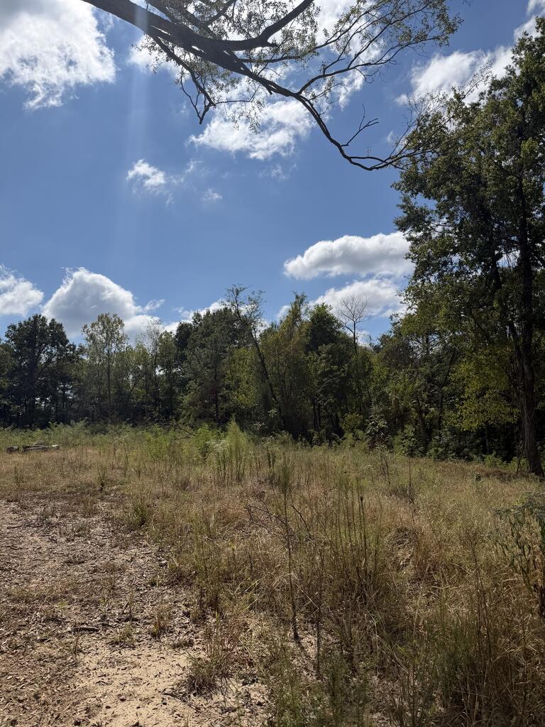 000 Blossom Lane Property Photo 2