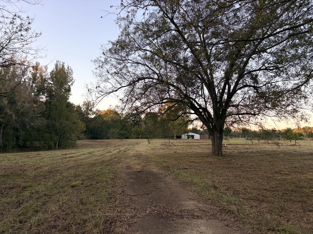 2070 Traxler Road Property Photo 1