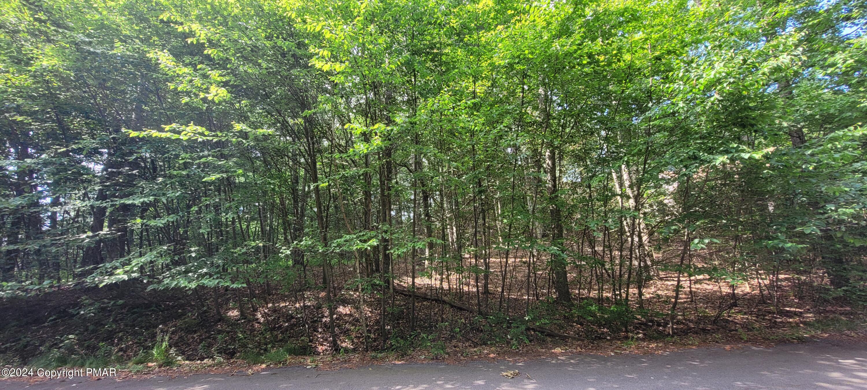 H17 Wolf Hollow Road Property Photo 1