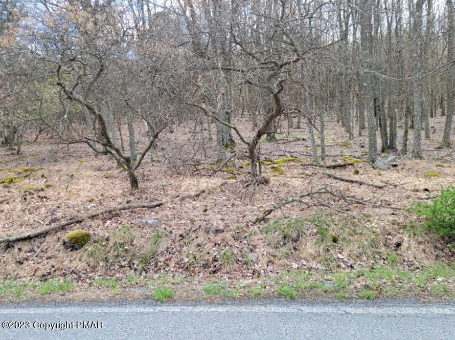 408 Fawn Lane Property Photo 3