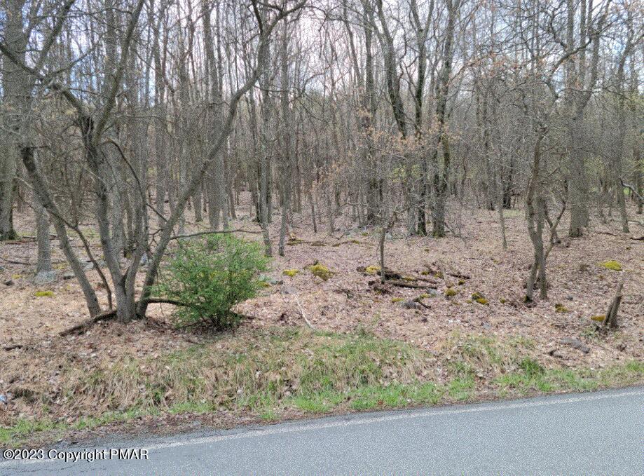 408 Fawn Lane Property Photo 4