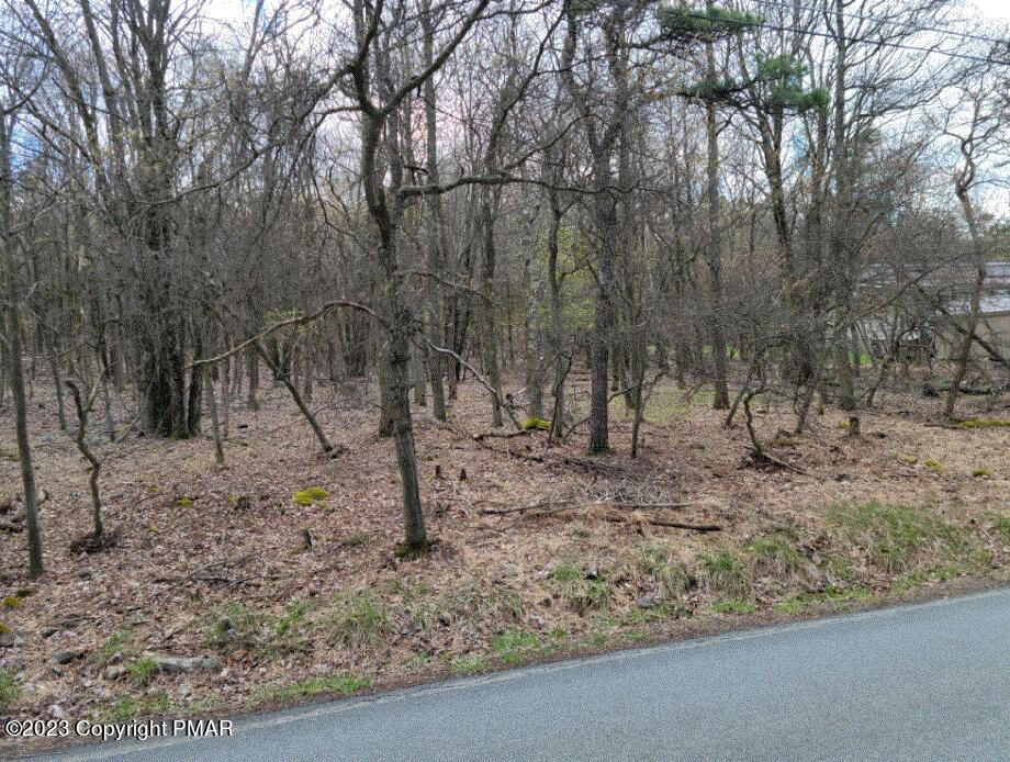408 Fawn Lane Property Photo 5