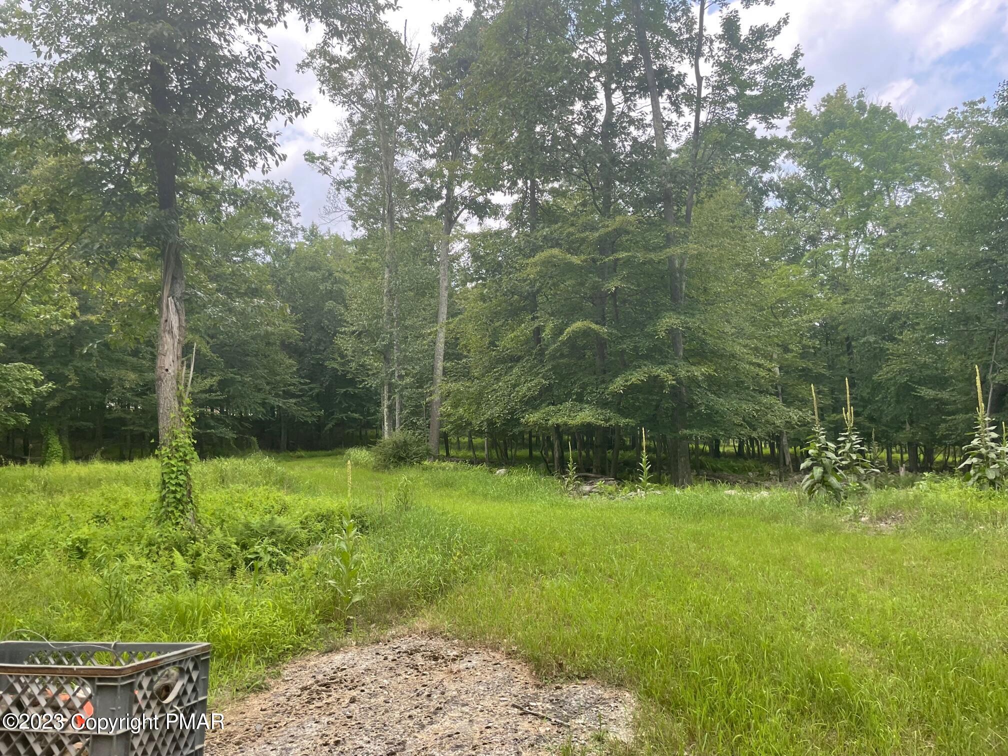 Lot 4 Adams Drive Property Photo 1